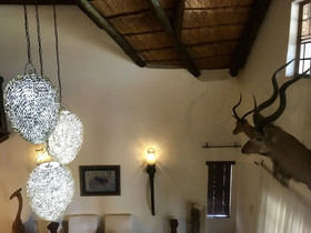 Rhinos Rest