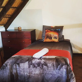Rhinos Rest
