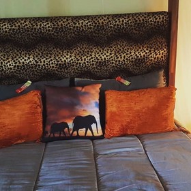 Rhinos Rest