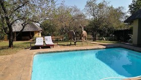 Royal Kruger Lodge