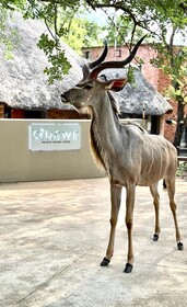Singwe Private Safari Lodge