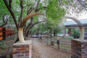 Thornforest Luxury Bush Lodge