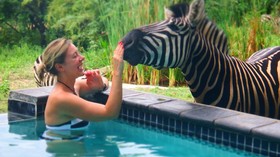 Turaco Lodge