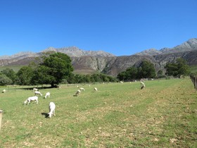 Swartberg Backpackers