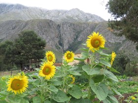 Swartberg Backpackers
