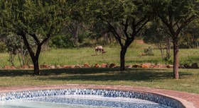 Birdsong Cottages