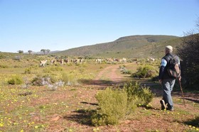 African Game Lodge