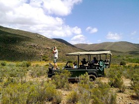 African Game Lodge