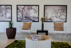 Musina Hotel and Conference Centre