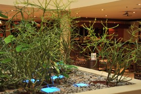 Hotel Promenade