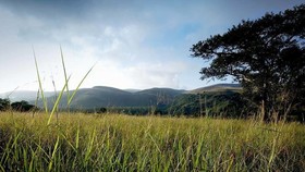 Caracal Lodge