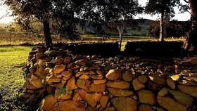 Caracal Lodge
