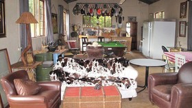 Caracal Lodge