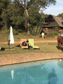 Caracal Lodge