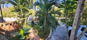 Casa Palmeira Guesthouse