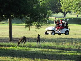 Matumi Golf Lodge