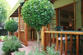 88 Baron van Reede Guesthouse