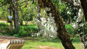 Berluda Farmhouse & Cottages