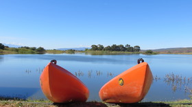 De Zeekoe