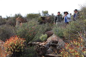 Madi Madi Karoo Safari Lodge