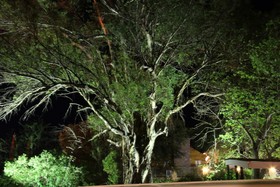 The Gumtree Guesthouse