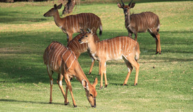 Wildehondekloof