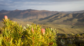 Wildehondekloof