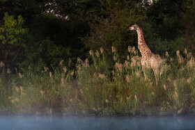 Abelana River Lodge