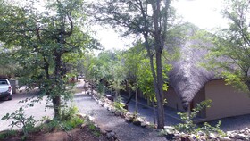 Balule Bushveld Safari Lodge