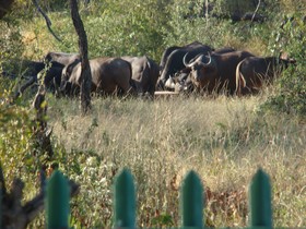 Muweti Bush Lodge