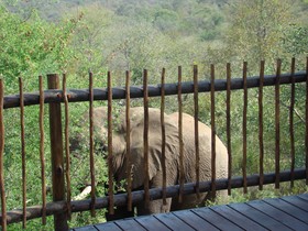 Muweti Bush Lodge