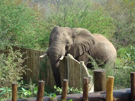 Muweti Bush Lodge
