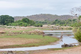 Sefapane Lodge & Safaris