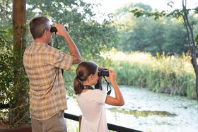 Sefapane Lodge & Safaris