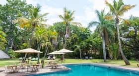 Sefapane Lodge & Safaris