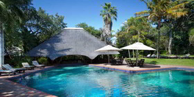 Sefapane Lodge & Safaris