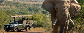 Bakubung Bush Lodge