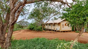 AfriCamps at White Elephant Safaris