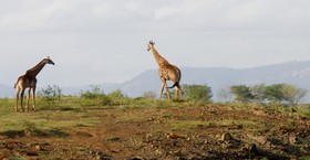 Shayamoya Lodge
