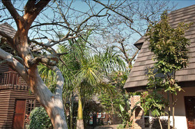 Woodpecker Inn