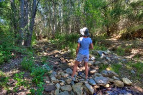 Africamps Boutique Camping at Pat Busch Mountain Reserve