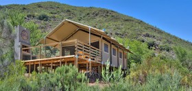Africamps Boutique Camping at Pat Busch Mountain Reserve