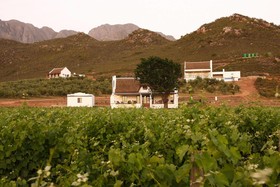 Orange Grove Farm