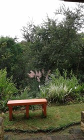 Forest View Guest House