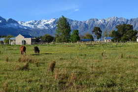 Saronsberg Vineyard Cottages