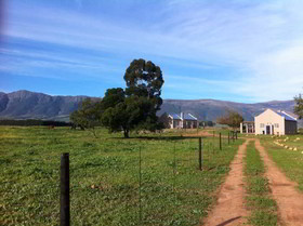 Saronsberg Vineyard Cottages