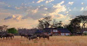 Kudumela Bush Lodge