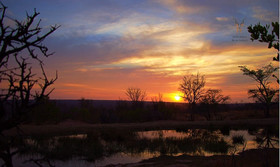 Kudumela Bush Lodge