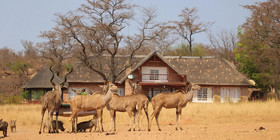 Kudumela Bush Lodge