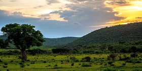 Laluka Safari Lodge